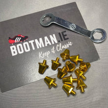 Load image into Gallery viewer, Replacement Studs